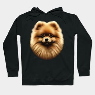 Pomeranian Perfection: Exquisite Detailed Face Design Hoodie